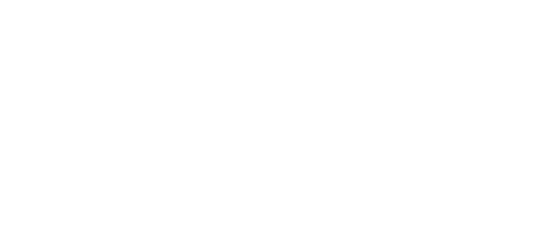 LEORE Institute of Real Estate Economics Logo weiß Immobilien Weiterbildung Augsburg
